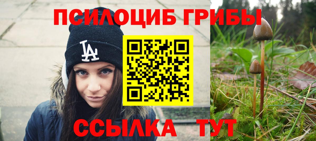Галлюциногенные грибы ЛСД  Псилоцибиновые грибы Psilocybe  Прокопьевск  Вход с VPN 